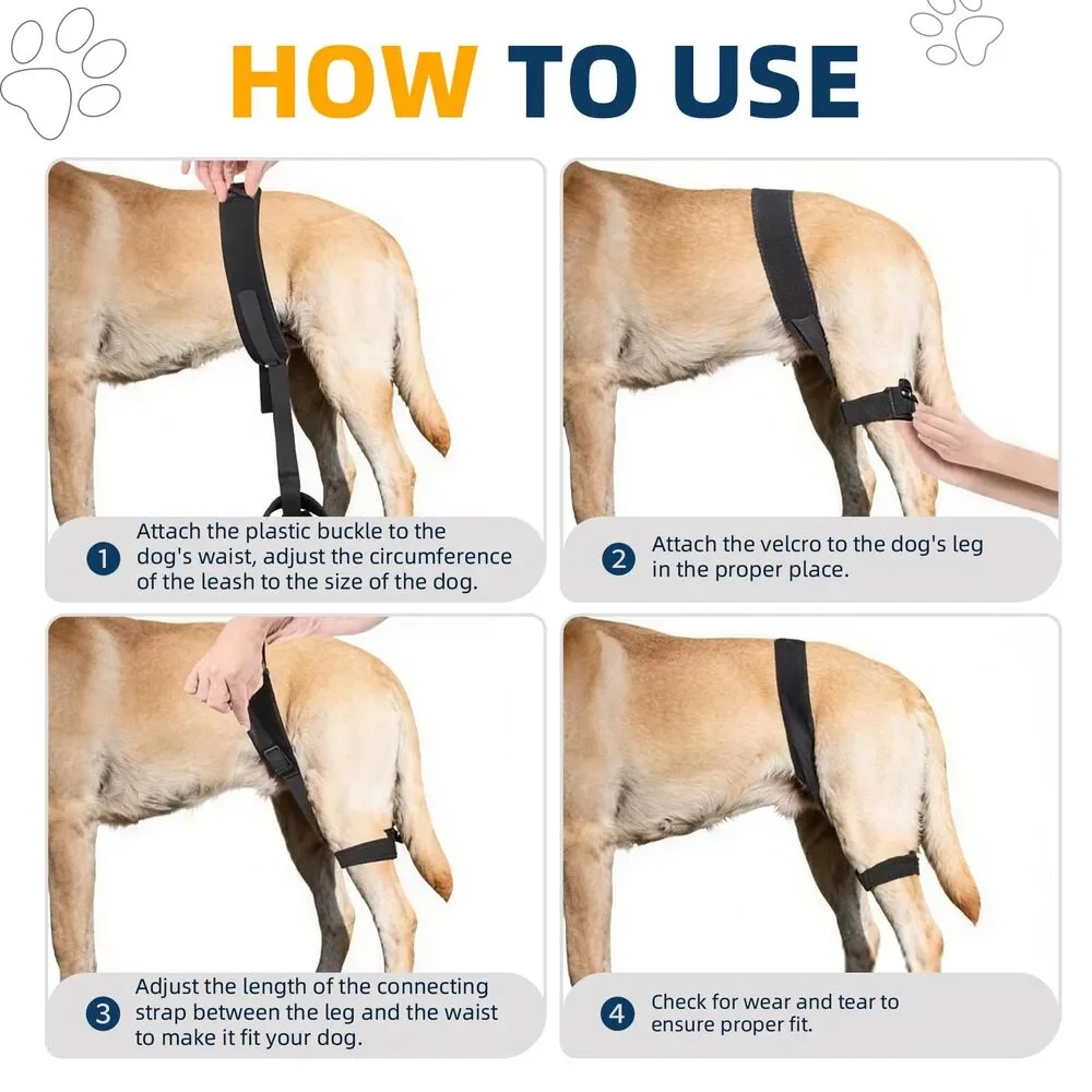CHAMIN Dog Hip Brace Hip Dysplasia Rear Leg Support Harness Arthritis Size S